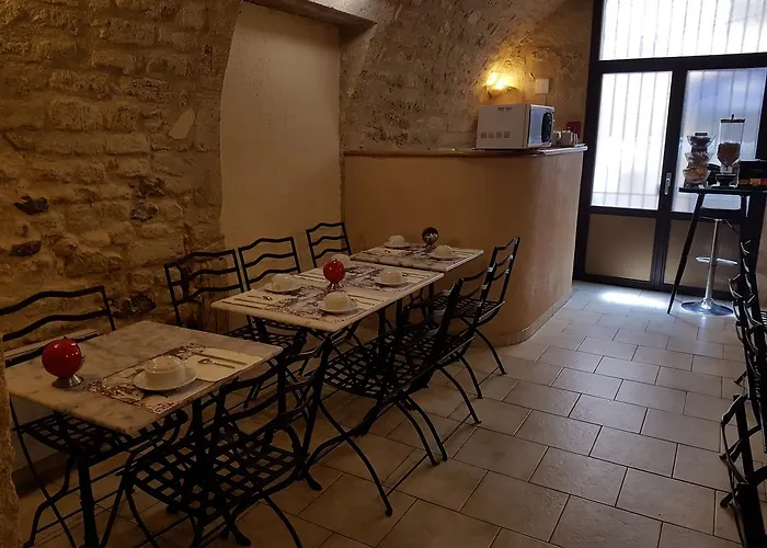 Hôtel accueillant les animaux: Hotel Nova